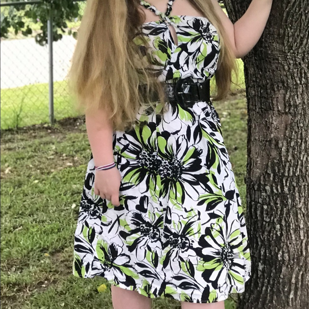Cato Knee Length Dress
